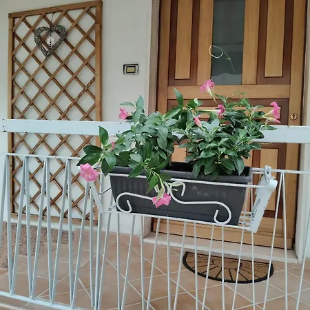 Apartment Casa Romi